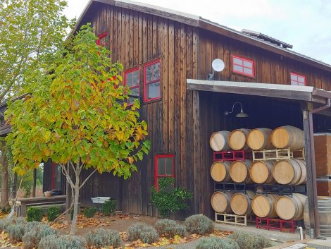 tegnet familie vingård på mendocino ridge mørkt træ rød trim