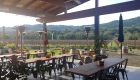 patio Pennyroyal winery Mendocino
