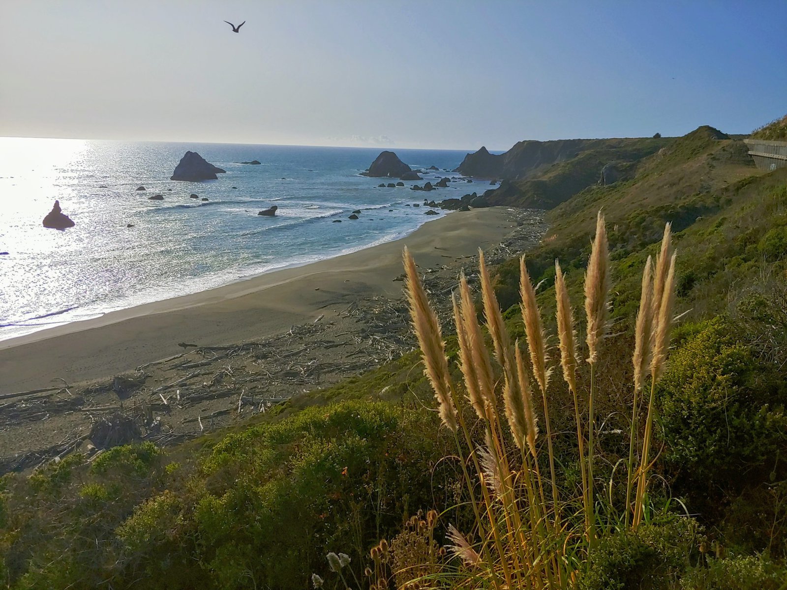 Sonoma Coast HikesKortum Trail, Pomo Canyon, and Jenner Headlands